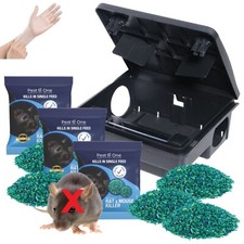 Professional rodent rat - professional,