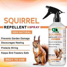 100% Natural Squirrel