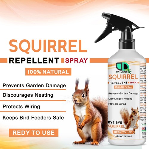 100 natural squirrel - natural,