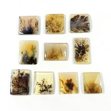 Natural Scenic Shazar Dendrite