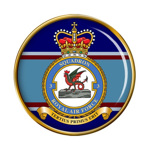 Squadron raf pin badge - raf,