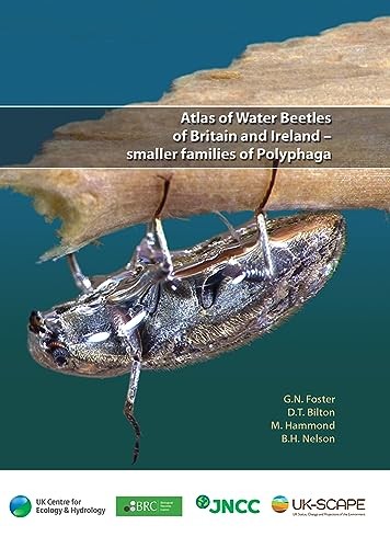 Atlas water beetles - atlas,