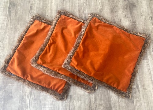 Paoletti kiruna rust - 3,