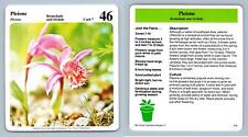 Pleione #7 Orchids - My Green Gardens 1987 Cardmark Card