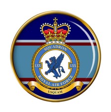 70 Squadron, RAF Pin Badge