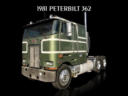1981 peterbilt model - 1981,
