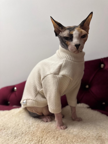 Ribbed cotton sphynx cat - ribbed, warm
