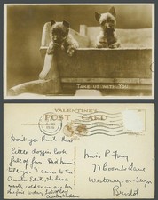 Dogs Puppies Take us with you 1936 Old Real Photo Postcard Dog Puppy Pet Animals