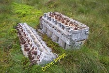 Photo 6x4 A Fairey Firefly's