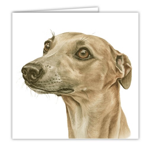 Whippet greetings card - , dog