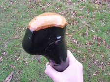 HUGE IRISH BLACKTHORN