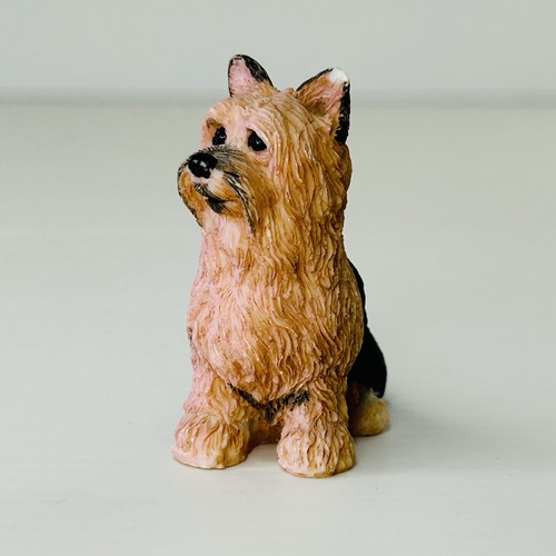 Yorkshire terrier yorkie - terrier,