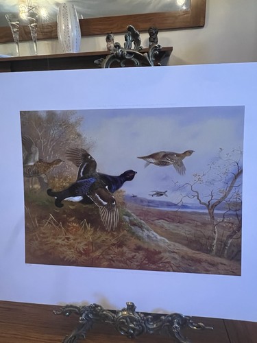 Limited edition archibald - edition,