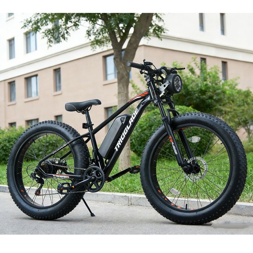 Electric bike adult - adult, fat