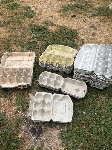 Egg boxes different sizes - egg,