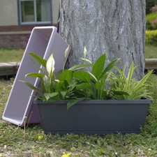 Trough plant pot long - trough,