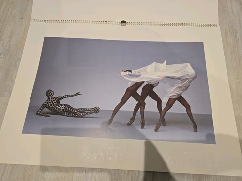 1988 pirelli calendar - calendar,