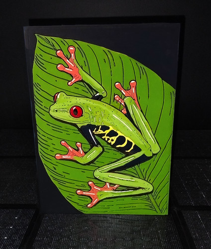 Red eye tree - red,