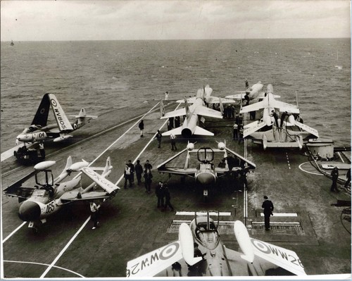 Sea venom hawk crusader 8 - venom,