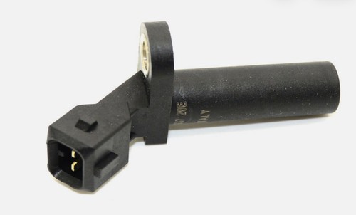 Zetec blacktop focus - |, |