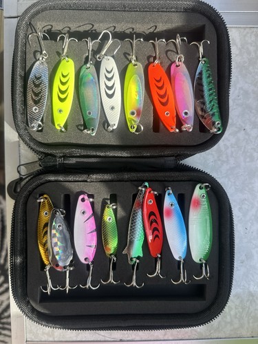 Lure fishing set case - lure, for