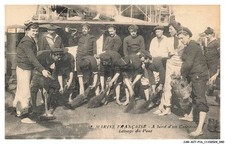 Car-Actp16-1142-Boat - Marine