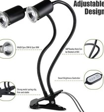 Reptile heat lamp rotating - reptile,