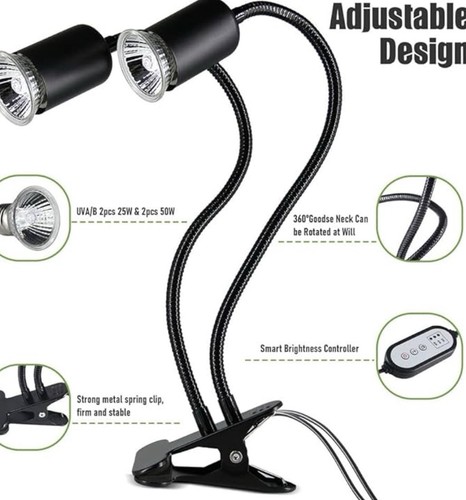 Reptile heat lamp - heat,