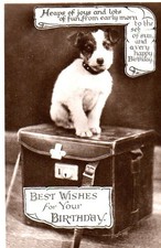 VINTAGE BIRTHDAY GREETING postcard:  CUTE JACK RUSSELL TERRIER PUPPY DOG