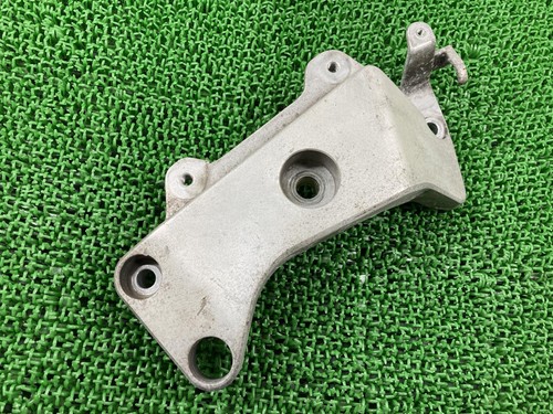 Hornet 250 step holder - step,