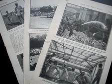 1901 Rowing at HENLEY Leander Pennsylvania teams some nudity: magazine photos 7O