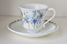 Portmeirion Ladies Flower Garden Cup and Saucer Susan Williams Ellis