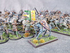 Saga Normans Warband -