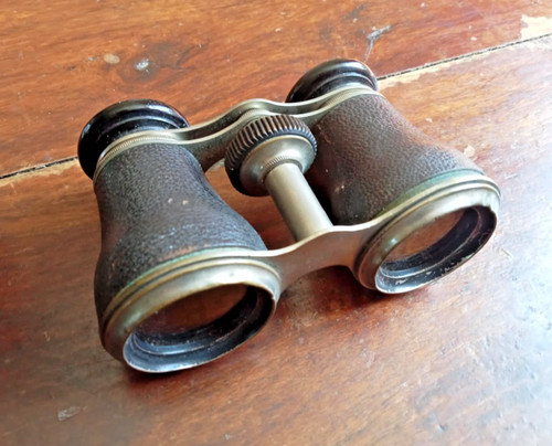 Antique leather opera glasses - leather,