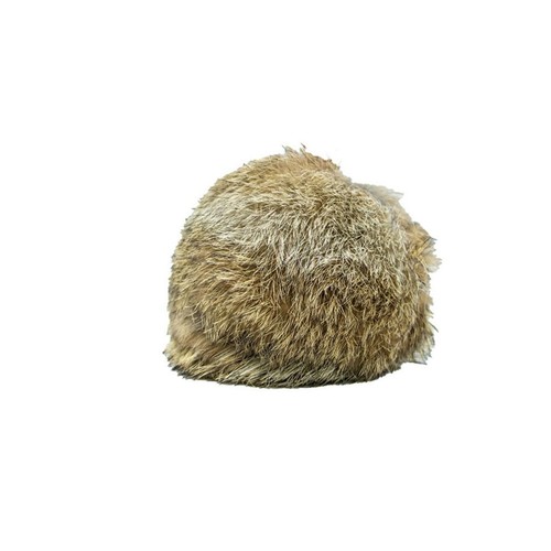 Dog field rabbit - fur, dummy