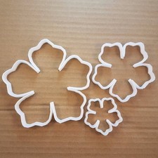 Flower Petal Plant Garden