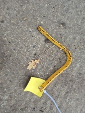 Wintec Bates Narrow Gullet