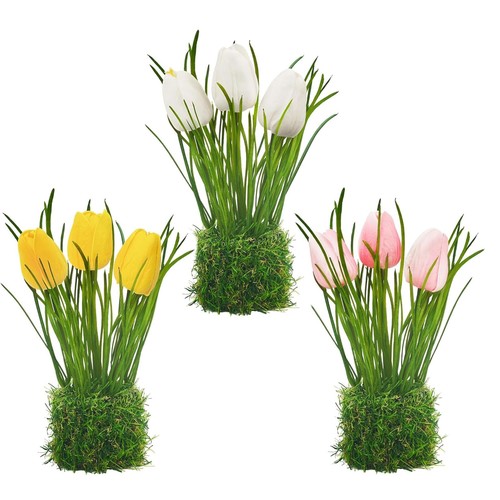 Homcomodar bundles - homcomodar, 3