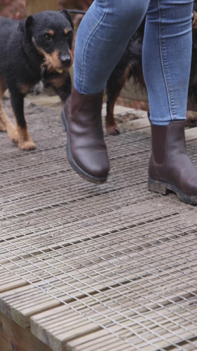 Shires moretta verona dealer - moretta,