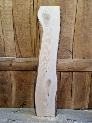 Cedar slab wood live - cedar,