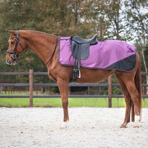 Qhp deep pink - qhp,