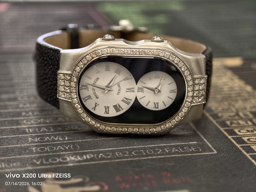 Philip stein teslar dual time - stein,