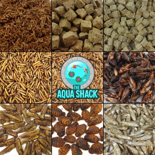Freeze dried fish food - freeze,