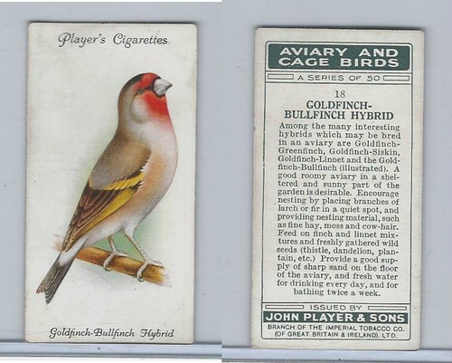 P72 player aviary cage - player,, &