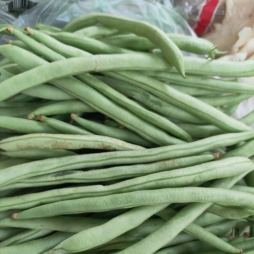 Bean complete collection - collection,