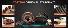 Generator Stator Voltage