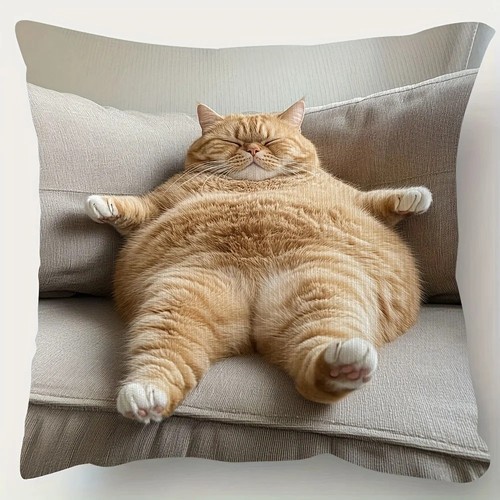 Ginger cat sofa throw pillow - sofa,