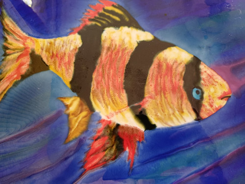 Great fun clown - great, fish