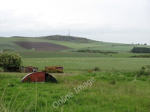 Photo 6x4 pig ark - 6x4,