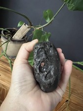 Lovely Natural Masterpiece Hag